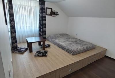 Casă individuală cu 5 camere cu Canalizare în Tineretului - 12