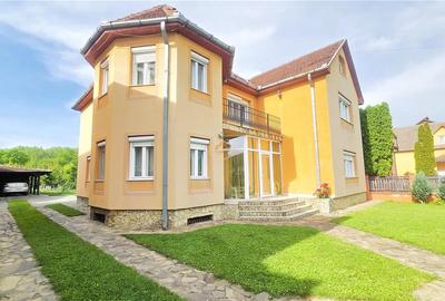 Casă individuală cu 7 camere cu Teren 1384 Mp în Vest - 4