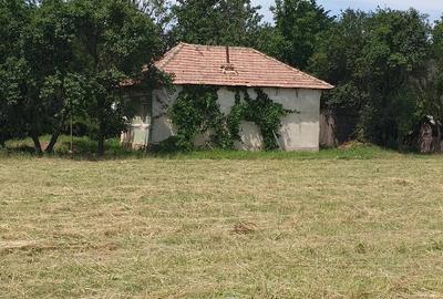 Casă cu 3 camere cu Teren 5513 Mp în Bratia din Deal