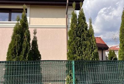 Casă cu 5 camere cu Teren 450 Mp în Herăstrău - 11