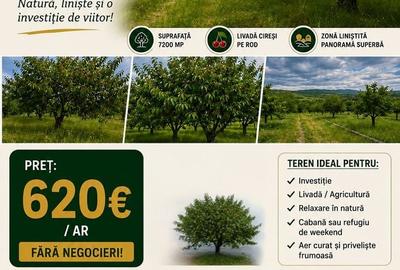 Teren de 7200 mp, în Central - 4