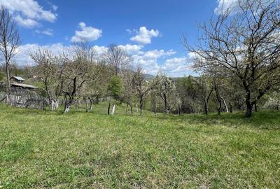 Casă individuală cu 10 camere cu Canalizare în Arefu - 8