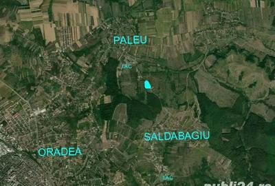 Teren de 1000 mp, în Centura - 2