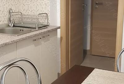 Apartament 3 camere de inchiriat Bdul Bucurestii Noi - 10