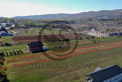 Teren de 3084 mp, în Plavia