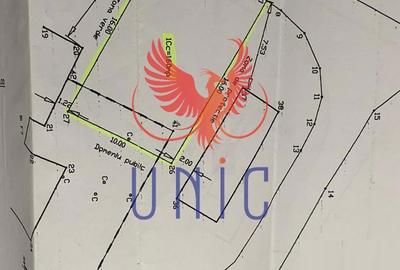 Spațiu comercial, în Brazda lui Novac - 2