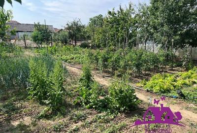 Casă cu 4 camere cu Teren 746 Mp în Nojorid - 2