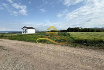 Teren Construcții intravilan de 500 mp, în Crihan - 5