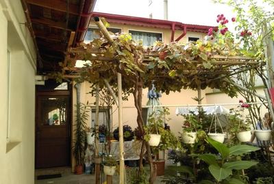 Vila 10 camere | Curte| Vitan | Metrou| Mihai Bravu 10' - 3