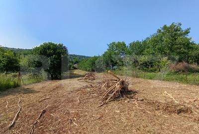 Casa cu 2 camere, 250 mp, zona sud-est - 20