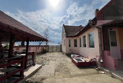 Casă individuală cu 4 camere cu Teren 2935 Mp în Belinț - 23