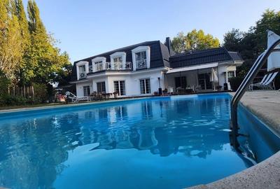 Vila individuala, teren 3000 mp, Iancu Nicolae - 29