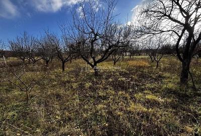 Teren de 3088 mp, în Dealuri Oradea - 2