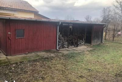 Casă cu 3 camere cu Teren 1768 Mp în Drajna - 17