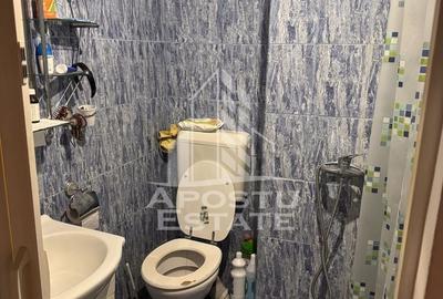 Apartament cu 3 camere semidecomandat, mobilat în Șagului - 4