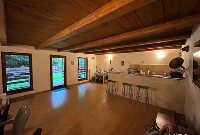 Vand cabana casa locuit Marisel - 8