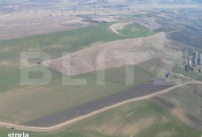 Teren de 45000 mp, în Dobrovăț - 3