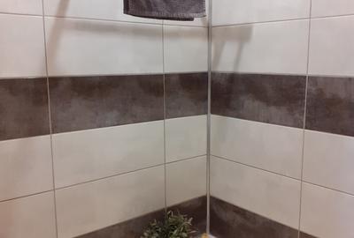 Inchiriere garsoniera Stefan cel Mare-Obor. - 8