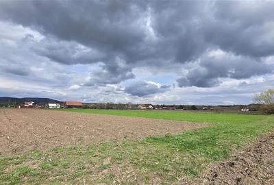 Teren Construcții intravilan de 845 mp, în Podu Oltului - 3