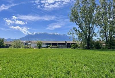 Spațiu comercial, în Tohanu Nou - 13