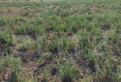 Teren intravilan Craiova, 400 mp, zona Releu - 1