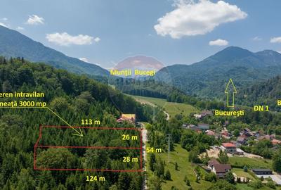 Teren intravilan, 3000 mp, Dambu Morii - 5