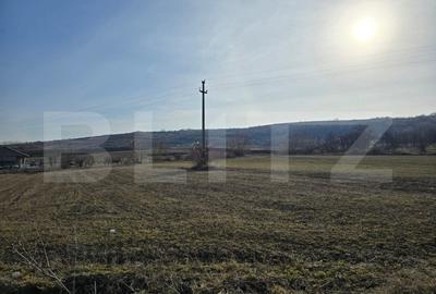 Teren extravilan de vanzare, 1.113 mp, zona-Valea Chintaului