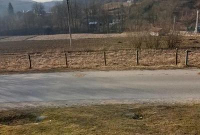 Teren de 7000 mp, în Ștubeie Tisa - 7