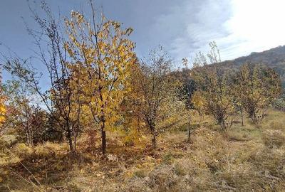 Teren de 660 mp, în Bunloc - 12