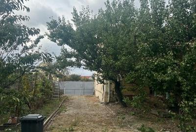 Casă cu Teren 1480 Mp în Liebling - 5