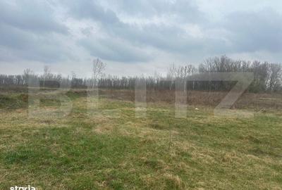 Spațiu comercial, în Central - 1