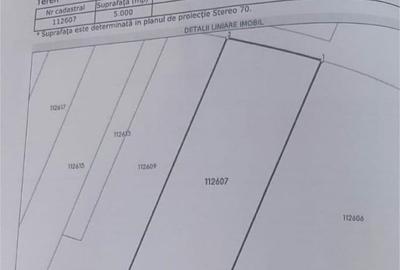 TEREN 5000mp  |  COSTINESTI  |  ZONA HANUL LUI DARIE - 8