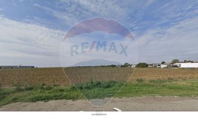 Teren intravilan 20,000mp Popesti-Leordeni intre centura Buc si A0 - 6