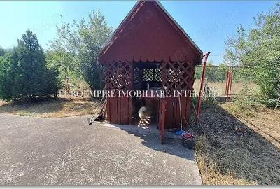 Casa P+M de vanzare in LOCALITATEA Lazu - 7