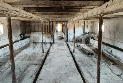 Casă cu 3 camere cu Teren 5039 Mp în Pianu - 1