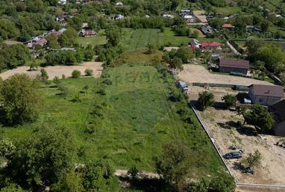 Teren de vanzare -Parava - DRAGUSANI - 3