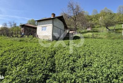 Spațiu comercial, în Bârseștii de Sus - 10