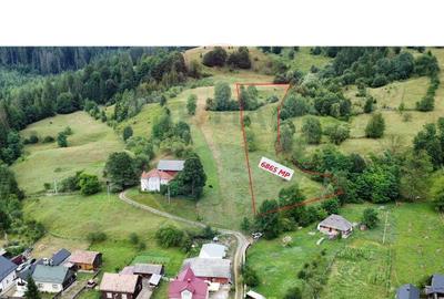 Teren de 6865 mp, în Voroneț - 13