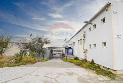 Hala industriala - investitie stabila sau potential operational - 2