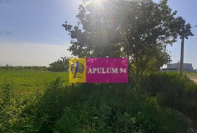 Teren de 5000 mp, în Copăceni - 7