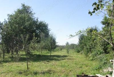 Teren de 4400 mp, în Prejmer
