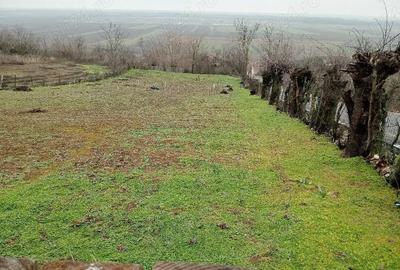 Casă cu 4 camere cu Teren 2200 Mp în Puieni - 7