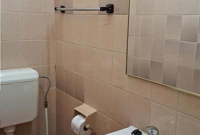 Apartament cu 3 camere semidecomandat, mobilat în Basarabia - 4