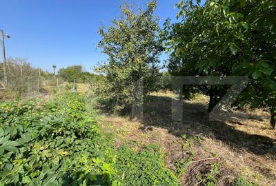 Teren intravilan de vanzare, 2.000 mp, deschidere 30 m - 5