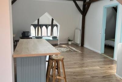 Oportunitate! Duplex de vanzare, centrul vechi, Vasile Lucaciu - 2