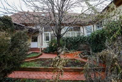 Infrastructură Premium pentru Afaceri IT - Disponibilă Acum - 34