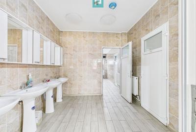 Teren 9.419 mp + hale 7.000 mp – Huși, Vaslui - 12