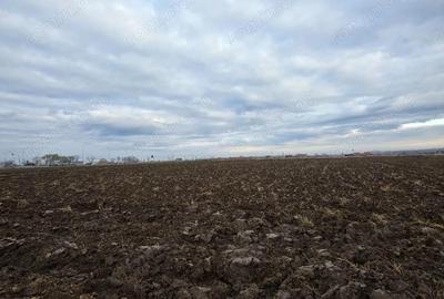 Teren la intrare in Biharia - 1