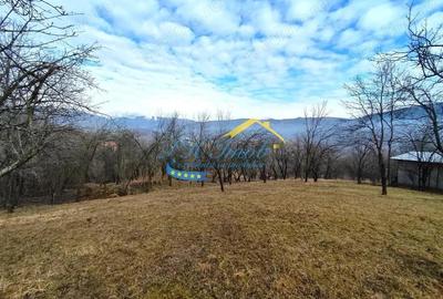 Teren de 5037 mp, în Gura Beliei - 2