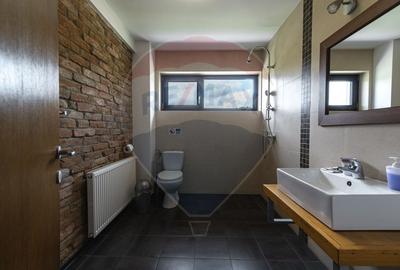Casă individuală cu 9 camere cu Teren 3000 Mp în Fundata - 13